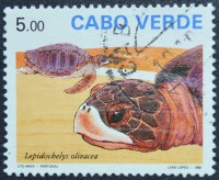 /album/galeria-de-fotos-cabo-verde/a0581-1990-jpg/